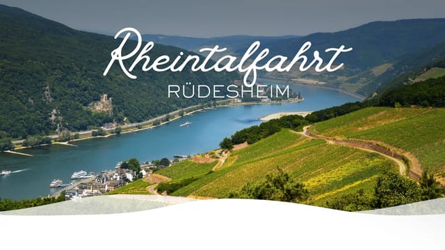 Rheintalfahrt nach Rüdesheim