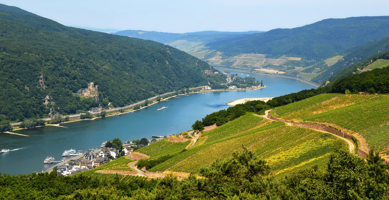 Rüdesheim Weinberge Schifffahrt von Heidelberg nach Rüdesheim