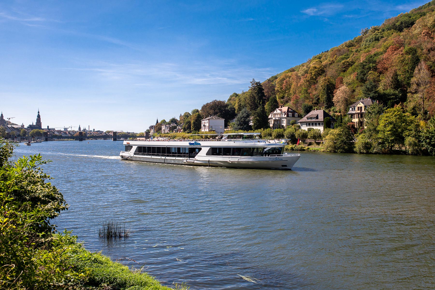 mskoeniginsilvia 4 &bull; Weisse Flotte Rhein-Neckar