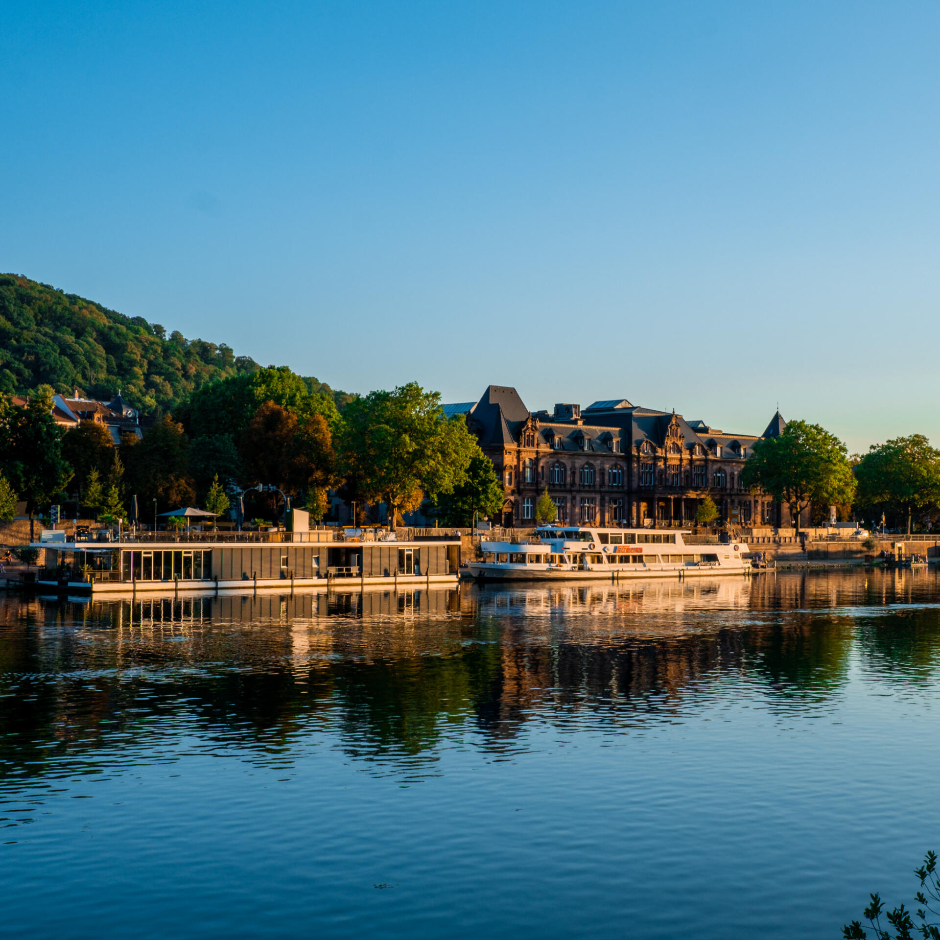 DSCF3136 DSCF3136 scaled • Weisse Flotte Rhein-Neckar